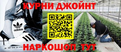 гашик Балаково