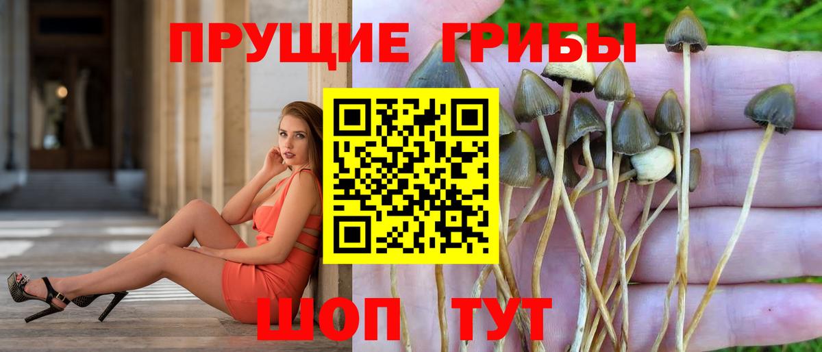 купить наркотики цена  Галлюциногенные грибы мухоморы  Вход с VPN  Будённовск 