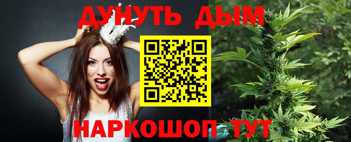 Шишки марихуана марихуана Будённовск